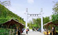 5月12日：徒步貢茶古道，天然氧吧，綠色之旅